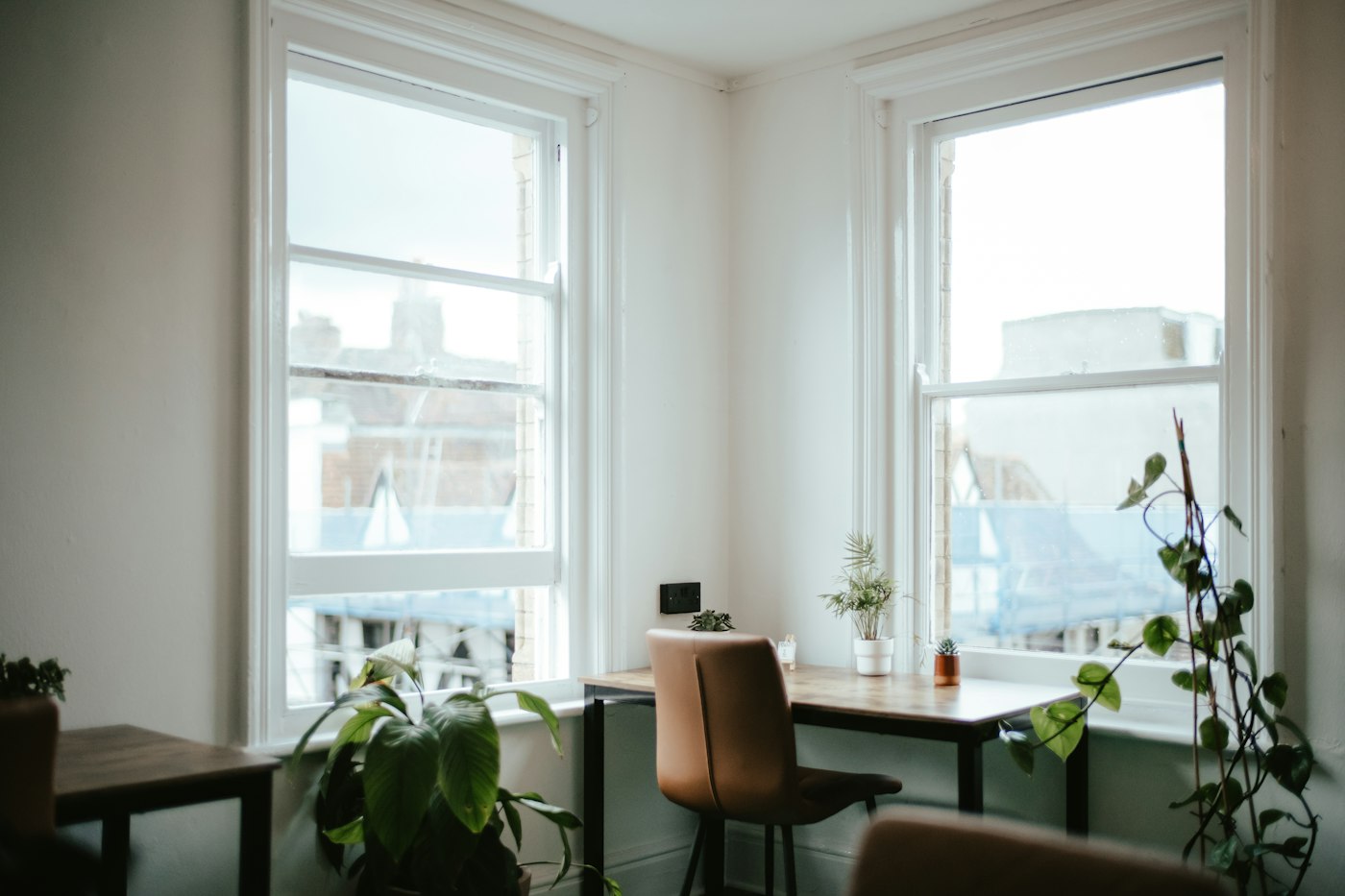 Annie Spratt - Unsplash
