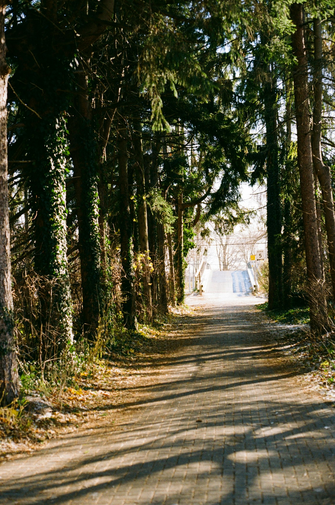 Ella Jardim - Unsplash
