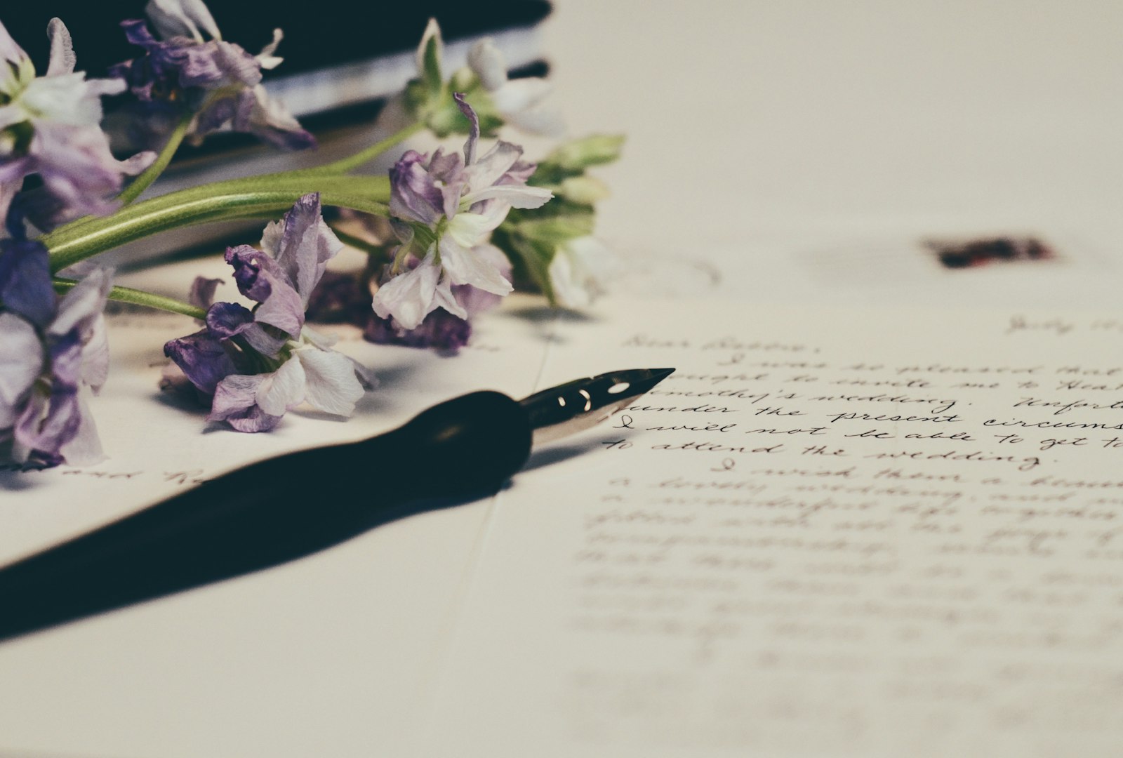 Sonia Jahandari - Unsplash