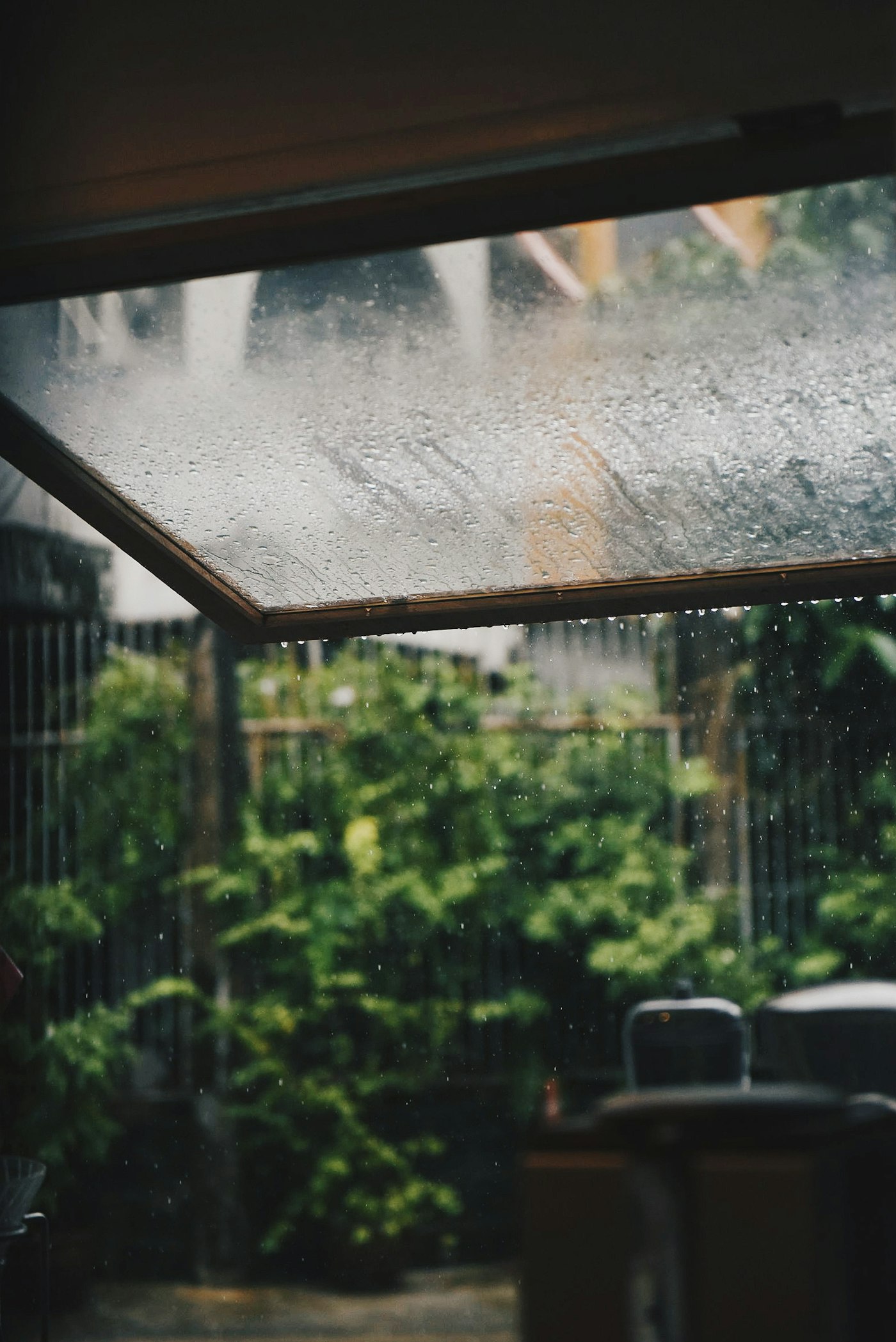 Suhyeon Choi - Unsplash