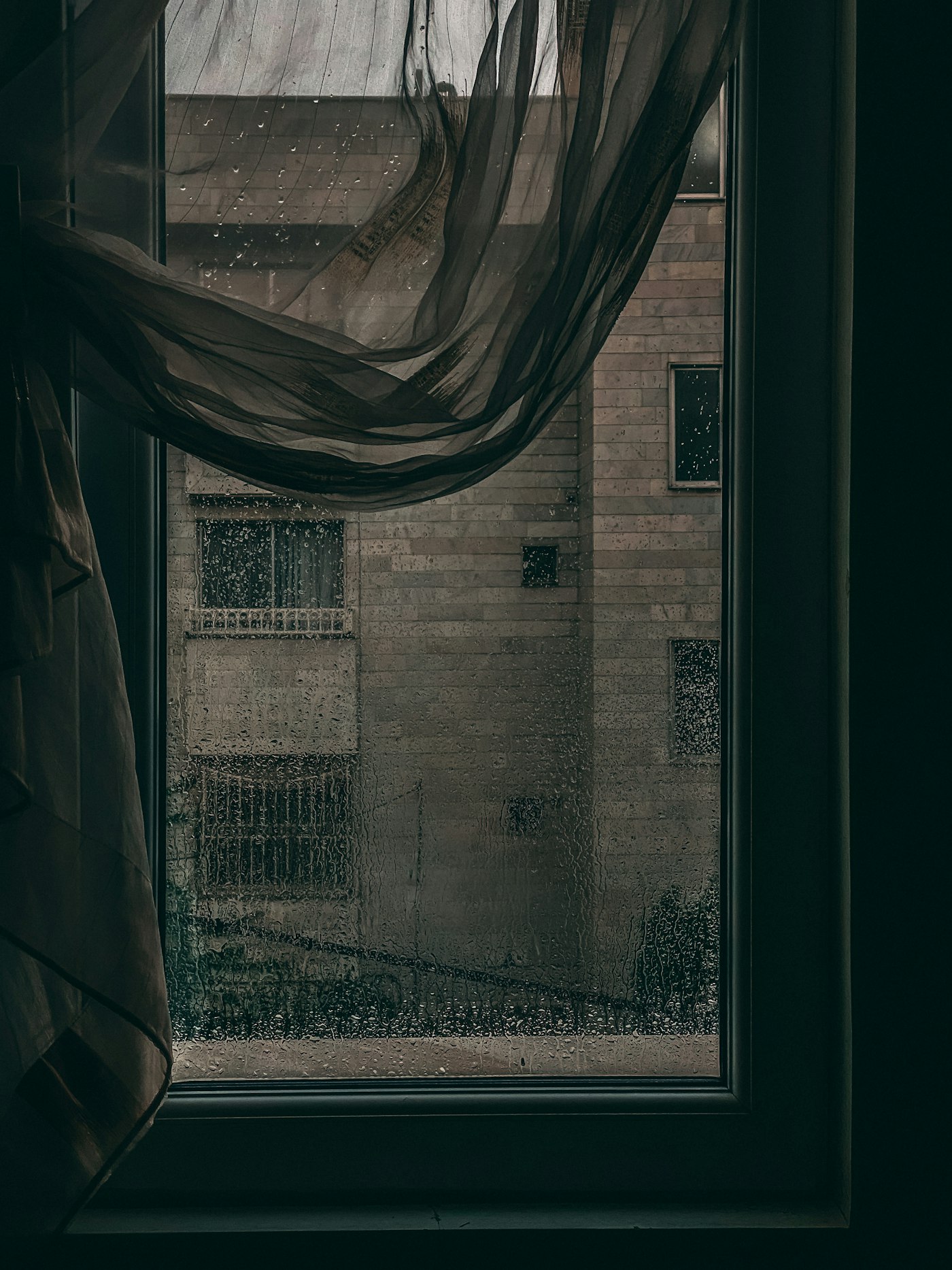 Mehrshad Rajabi - Unsplash
