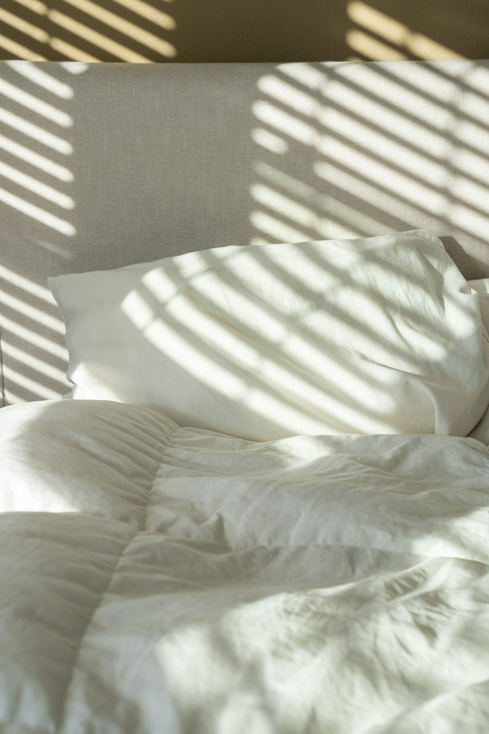 Annie Spratt - Unsplash