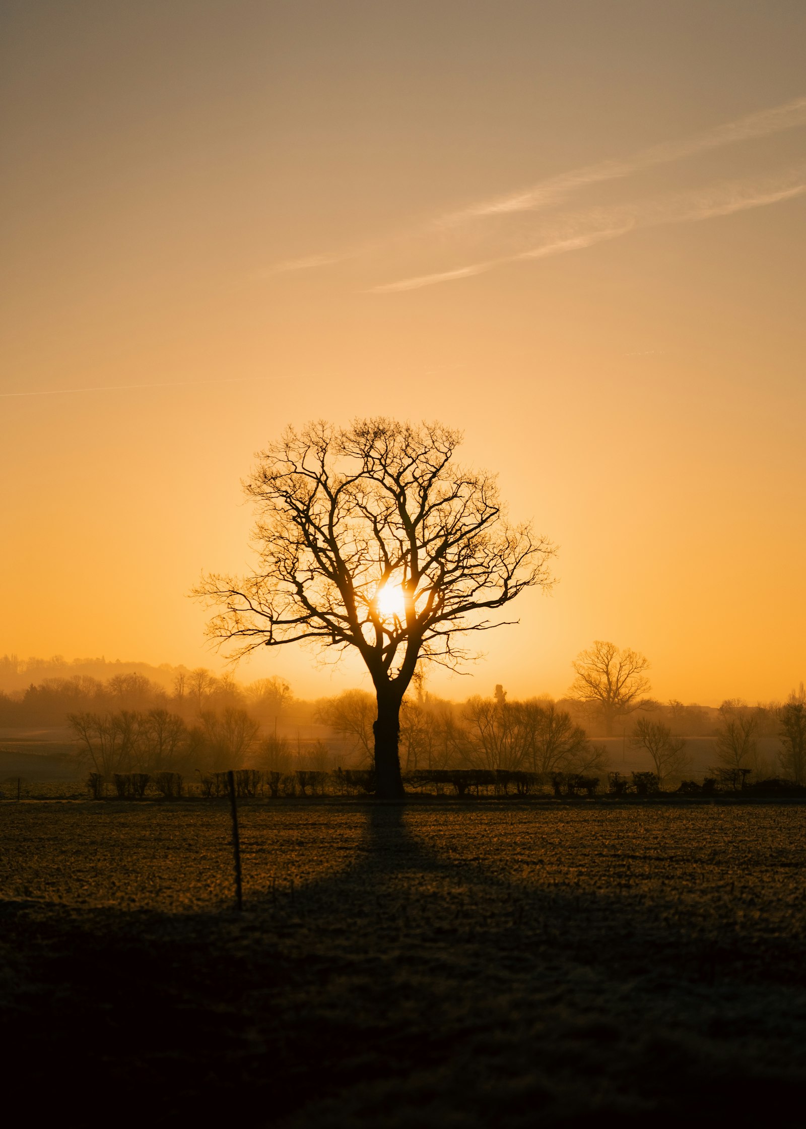 Jack Stapleton - Unsplash