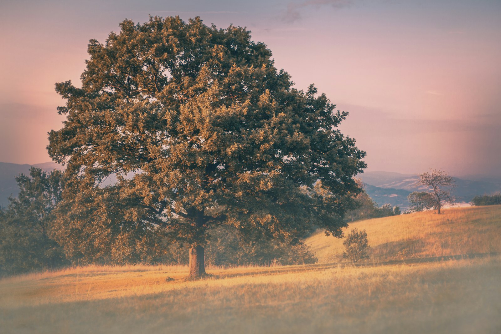 Nikola Knezevic - Unsplash